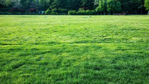 Hard Soil in Your Lawn