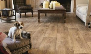 Why PVC Flooring is the Best Choice for Your Home or Office
