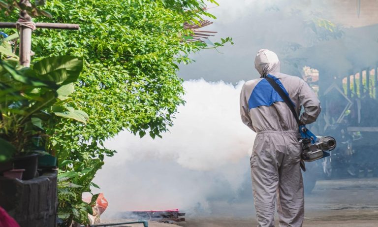4 Common Signs That You Need Professional Pest Control