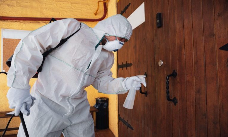 How to Choose Reliable Termites Control Services in Singapore